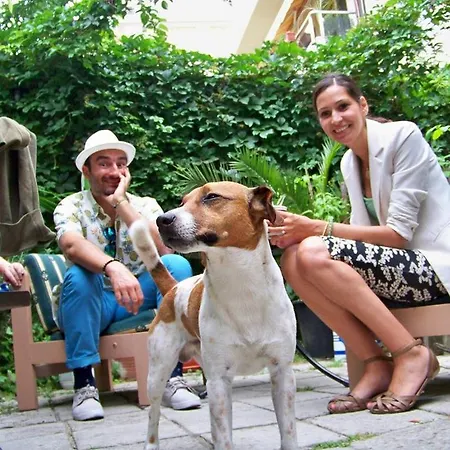 йо хо * Варна